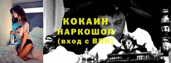 гашик Алексеевка