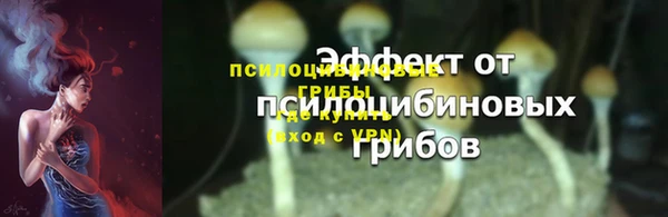 гашик Алексеевка