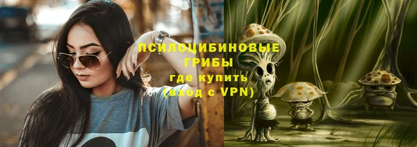 гашик Алексеевка