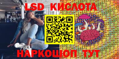 ALPHA PVP Малгобек
