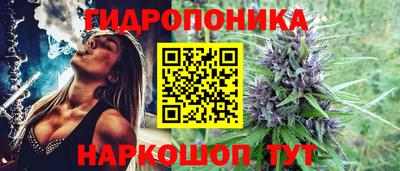 ALPHA PVP Малгобек